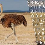 Tikai cilvēki ar augstu IQ 10 sekunžu laikā atradīs vārdu