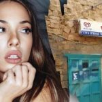 Tikai ģēnijs varētu atrast suni uz ielas 7 sekundēs: sarežģīta