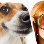 Tikai īsts IQ titāns 10 sekunžu laikā ieraudzīs suni sniegā: