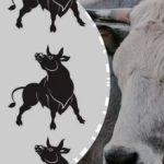 To var izdarīt tikai mīklu ģēnijs: 4 sekunžu laikā atrodiet