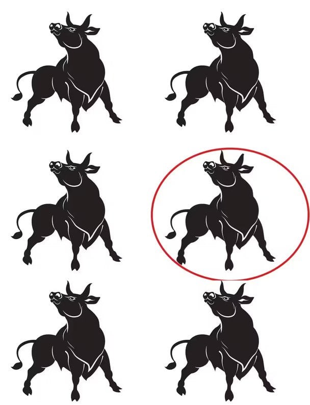 Interesanta uzmanības mīkla - tās atrisināšana